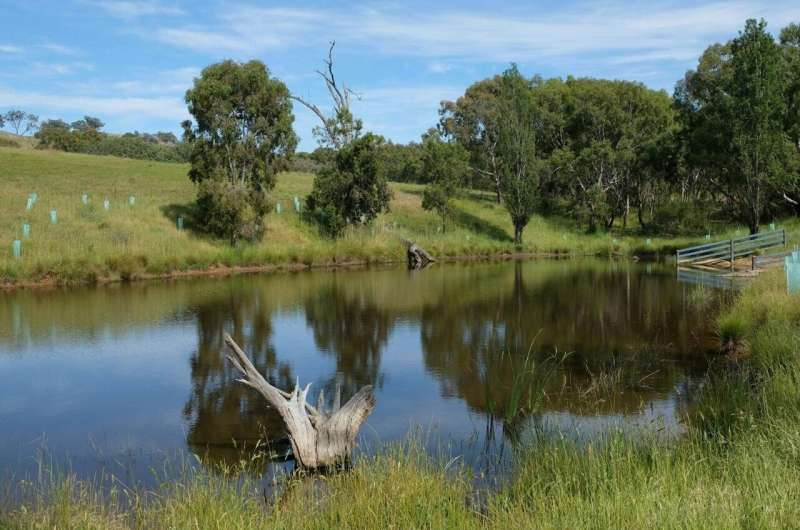 Better dams offer major benefits to farmers and livestock