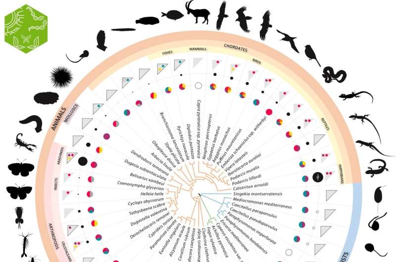 Earth BioGenome Project to sequence the genome of nearly 40,000 plant, animal and fungi species in Catalan-speaking territories