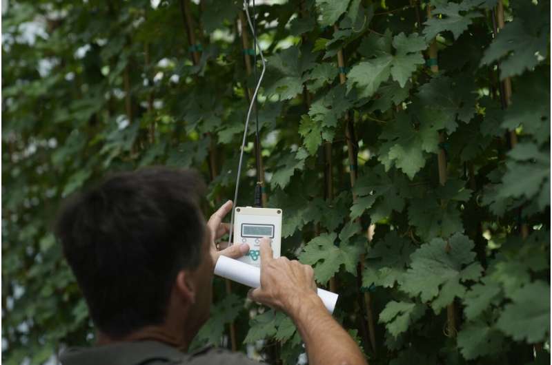 Greenhouses are becoming more popular, but there's little research on how to protect workers