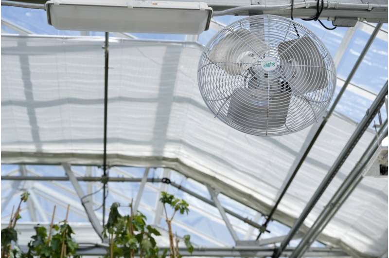 Greenhouses are becoming more popular, but there's little research on how to protect workers