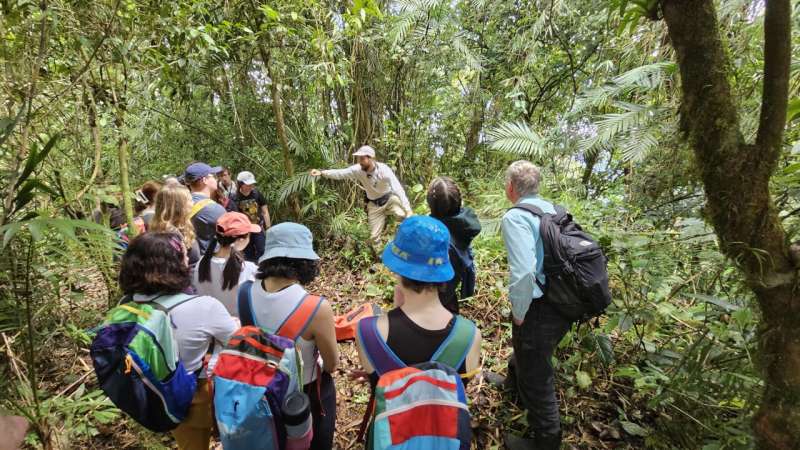 Of ants and trees: 'Evolutionary déjà' in the tropical rainforest