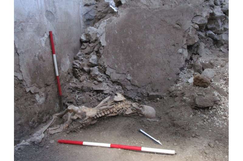 Pompeii skeleton discovery shows another natural disaster may have made Vesuvius eruption even more deadly