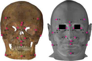 Researchers propose an improvement in the identification of human remains using craniofacial superimposition