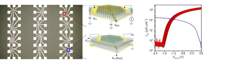 Scientists discover way to "grow" sub-nanometer sized transistors