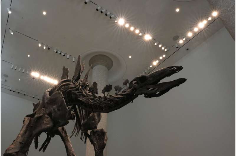 Stegosaurus fossil fetches nearly $45M, setting record for dinosaur auctions