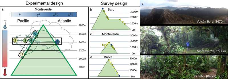 Tropical plant species are as threatened by climate change as widely feared, study confirms